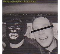 Tortoise - Gently Cupping the Chin of ...