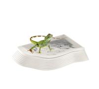 Tortoise Water Dish - Piscina sin límite de escalera reptil de baño │ Multi-Purpose Landscaping Tortoise Soaking Dish │ Reptile Feeding Dish │ Aquarium Ornament for Turtle