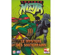 Tortues Ninja - Vol. 3 : Le mystère des souterrains [Francia] [DVD]