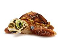 Tortuga de peluche de tortuga de agua, color marrón