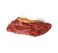Tortuga para decoración realista similar a la piedra