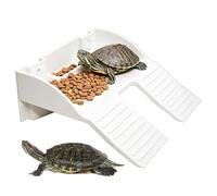 Tortuga para tomar el sol, gran terraza antideslizante, área de descanso para el tanque de tortugas, para enriquecimiento, descanso, alimentación, escalada, reptil, dragón barbudo, tortuga,
