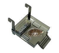 Tortugas soleado, animal con escalera para reptiles - Acuario Lugar,Para Balcón Sala Restaurante Tortugas Ranas Cangrejos Salamandra