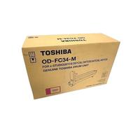 Toshiba OD-FC34M Tambor magenta