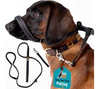 Total Pet Figura de 8 correas para perro, planas, antitirones, para perros, correas deslizantes reflectantes con soporte acolchado para la nariz (210 cm)