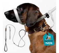 Total Pet Figura plana de 8 correas para perro, antitirones, con giratorio, color gris, 210 cm (180 cm)