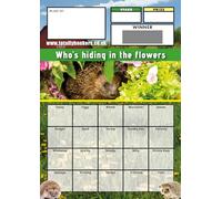 Totally Bonkers - Tarjetas para rascar y rascar de erizo para recaudar fondos - 20 cuadradas - A6 (148 x 105 mm) - Paquete de 10 - TB0115 - Tarjeta ciega