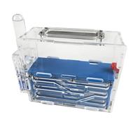 TOTIKI Hormiguero Castillo De Hormigas Acrílico, Granja, Observación Científica, Bricolaje, Nidos, Taller Granja Hormigas(Blue)