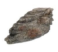 Totority Decoración de Fósil de Insecto Trilobite de Resina Marrón para Terrario de Reptiles, Diseño Realista y Valor Educativo para Colecciones Personales