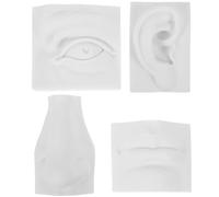 Totority Escultura para Práctica de Dibujo Ligera y Decorativa de Color Claro de Yeso Figuras de Rasgos Faciales Realistas para Pintura y Decoración en Casa