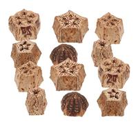 Totority Juguete para Masticar Loros 12 Piezas Frutos Naturales para Pájaros y Periquitos, Accesorios Seguros para Morder y Entretener en Jaula, Juguete Interactivo para Mascotas Pequeñas