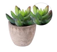 Totority Planta Artificial Suculenta Bonsái Falso Verde 1pieza PE Papel