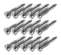 Totority Tornillos Metálicos de Rata para Saxofón Alto 30 Piezas, Tornillos de Fijación de Metal Resistentes para Reparación y Mantenimiento de Instrumentos de Viento, Accesorios