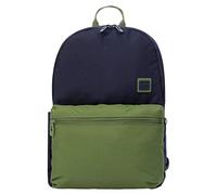 Totto - Mochila urbana Dragonar - Perfecta para el día a día - Comodidad para llevar a donde quieras - Verde y Azul