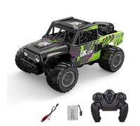 TOUCAN RC HOBBY 1:18 RC Offroad Auto Q191 Impermeable Vehículo anfibio teledirigido 360 grados Rotación Coche Acrobacia Coche Eléctrico Tracción en las 4 Ruedas Listo para Operar con Batería Al Aire