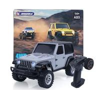 TOUCAN RC HOBBY RTR 1/36 Radio Control Crawler 3601A 4X4 RC Off Road Car Model Light System Battery Mini Vehicle Model Gift for Adult Collection
