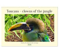 Toucans - clowns of the jungle (Wall Calendar 2026 DIN A3 landscape), CALVENDO 12 Month Wall Calendar: Variety of colours in the treetops