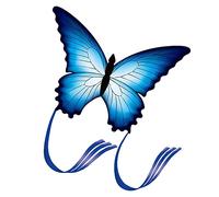 Touch the sky Cometa Mariposa Azul para Niños y Adultos, Fácil de Volar, Diseño de Estructura Único, Excelentes Juegos al Aire Libre y Juguetes de Actividades, Adecuado para Principiantes.