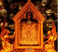 Touch The Spider! - Souls for sale