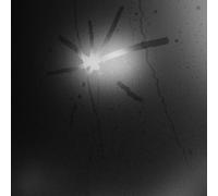 Touché Amoré Spiral in a Straight Line (Vinyl) 12" Album (Importación USA)