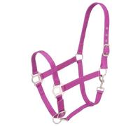 Tough 1 Halter de Nailon con Accesorios de satén, 50-2011-10-0, Morado, Horse