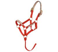 Tough 1 miniatura nailon Break-Away Halter - 50-732-5-0, Rojo
