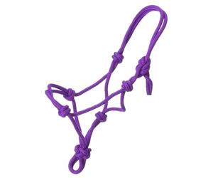 Tough 1 Miniatura Poly Cuerda Atada Halter - 50-1000M-10-101, Púrpura