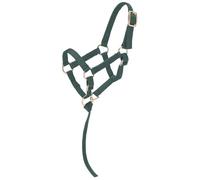 Tough 1 Miniature Nylon Halter-Hunter Green Cabestro, Mujer, Verde Cazador, Small Mini
