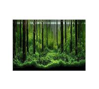 TOUISEDGI Fondo de Acuario Decoraciones de Tanques de Peces Imágenes, Póster Adhesivo de PVC Fondo de Tanque de Bosque Submarino Póster Telón de Fondo Calcomanías Adhesivas de Papel(61 * 30cm)