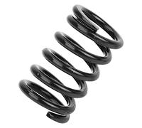 TOUISEDGI Tremolo Bridge Tension Spring High Toughness Metal Electric Guitar Parts Bigsby Electric Bass Guitar Accessories Silver (Black)