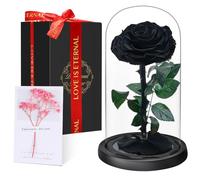 Touloube Flores Preservadas, Rosa Eterna Natural Bella y Bestia en Cúpula de Cristal, Regalo de Día de la Madre Mamá, Mujer, Abuela y Novia, Ideal para Aniversario, San Valentín, Navidad