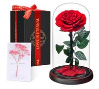 Touloube Flores Preservadas, Rosa Eterna Natural Bella y Bestia en Cúpula de Cristal, Regalo de Día de la Madre Mamá, Mujer, Abuela y Novia, Ideal para Aniversario, San Valentín, Navidad