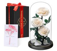 Touloube Flores Preservadas, Rosa Eterna Natural Bella y Bestia en Cúpula de Cristal, Regalo de Día de la Madre Mamá, Mujer, Abuela y Novia, Ideal para Aniversario, San Valentín, Navidad