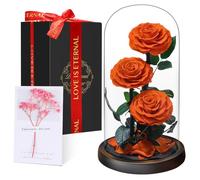 Touloube Flores Preservadas, Rosa Eterna Natural Bella y Bestia en Cúpula de Cristal, Regalo de Día de la Madre Mamá, Mujer, Abuela y Novia, Ideal para Aniversario, San Valentín, Navidad