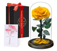 Touloube Flores Preservadas, Rosa Eterna Natural Bella y Bestia en Cúpula de Cristal, Regalo de Día de la Madre Mamá, Mujer, Abuela y Novia, Ideal para Aniversario, San Valentín, Navidad