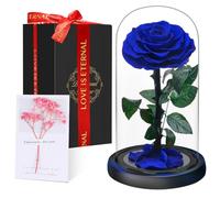 Touloube Flores Preservadas, Rosa Eterna Natural Bella y Bestia en Cúpula de Cristal, Regalo de Día de la Madre Mamá, Mujer, Abuela y Novia, Ideal para Aniversario, San Valentín, Navidad