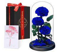 Touloube Flores Preservadas, Rosa Eterna Natural Bella y Bestia en Cúpula de Cristal, Regalo de Día de la Madre Mamá, Mujer, Abuela y Novia, Ideal para Aniversario, San Valentín, Navidad