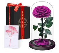 Touloube Flores Preservadas, Rosa Eterna Natural Bella y Bestia en Cúpula de Cristal, Regalo de Día de la Madre Mamá, Mujer, Abuela y Novia, Ideal para Aniversario, San Valentín, Navidad