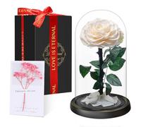 Touloube Flores Preservadas, Rosa Eterna Natural Bella y Bestia en Cúpula de Cristal, Regalo de Día de la Madre Mamá, Mujer, Abuela y Novia, Ideal para Aniversario, San Valentín, Navidad