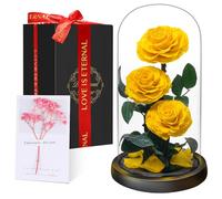 Touloube Flores Preservadas, Rosa Eterna Natural Bella y Bestia en Cúpula de Cristal, Regalo de Día de la Madre Mamá, Mujer, Abuela y Novia, Ideal para Aniversario, San Valentín, Navidad
