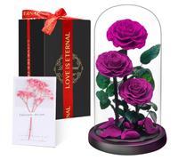 Touloube Flores Preservadas, Rosa Eterna Natural Bella y Bestia en Cúpula de Cristal, Regalo de Día de la Madre Mamá, Mujer, Abuela y Novia, Ideal para Aniversario, San Valentín, Navidad