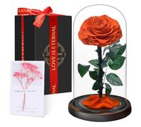 Touloube Flores Preservadas, Rosa Eterna Natural Bella y Bestia en Cúpula de Cristal, Regalo de Día de la Madre Mamá, Mujer, Abuela y Novia, Ideal para Aniversario, San Valentín, Navidad