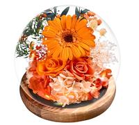 Touloube Regalo De Girasol del Día de la Madre, Regalos Mujer,Girasoles Infinitos Eternos De Cristal,Flores Regalo De Cumpleaños Inspirador del Sol para Mamá Esposa Abuela Maestra Novias