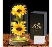 Touloube Regalos de Girasol Regalo del Día de la Madre para Mujeres, Girasol Artificial en Cúpula de Cristal, Regalos de Girasol Eternos para Aniversario, Regalo de Flores Artificiales para Mamá