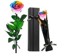 Touloube Rosa Eterna, Ideas Regalos Mujer para Mama Novia Abuela Hermana Amiga Esposa, Regalo Aniversario Cumpleaños Navidad Mujer, Te Amo Regalo, San Valentín, Arcoíris