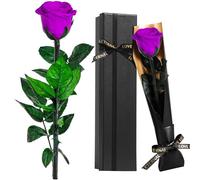 Touloube Rosa Eterna, Ideas Regalos Mujer para Mama Novia Abuela Hermana Amiga Esposa, Regalo Aniversario Cumpleaños Navidad Mujer, Te Amo Regalo, San Valentín, Morado