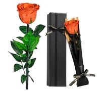 Touloube Rosa Eterna Natural Preservada con Tallo,Regalos para el Día de la Madre,Flores Preservadas Ideas Regalos para Mama Novia Hermana Esposa, Regalo Aniversario Cumpleaños, Te Amo Regalo