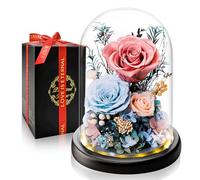 Touloube Rosa Eterna Preservada en Cúpula de Cristal con Luz LED | Regalo de Día de la Madre para Mamá, Regalo Mujer para San Valentín, Aniversario, Novia, Esposa y Abuela | Flores Que Duran Años