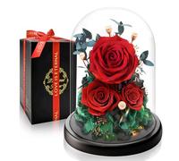 Touloube Rosa Eterna Preservada en Cúpula de Cristal I Regalo Romántico con Luz LED I San Valentín, Aniversario I Detalle para Novia, Esposa, Mamá y Abuela I Flores Que Duran Años