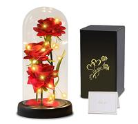 Touloube Rosa Eterna Regalo de San Valentín para Ella Mujeres, La Bella y la Bestia Rosa, Kit de Rosas,Elegante Cúpula de Cristal con Luces LED, Regalo de Flores Artificiales, Mamá, Esposa